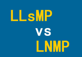 Linux VPS系统环境LNMP与LLsMP选择比较 | 老左笔记