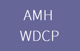 对比WDCP面板与AMH面板的区别与选择 | 老左笔记
