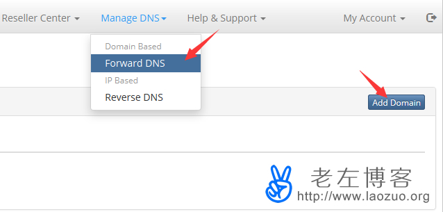 登录BudgetVM账户寻找免费DNS服务