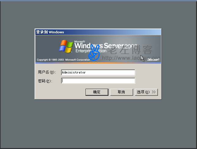 登录VNC安装Windows系统