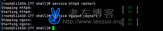 解决WDCP面板出现"Stopping nginx: nginx"错误问题