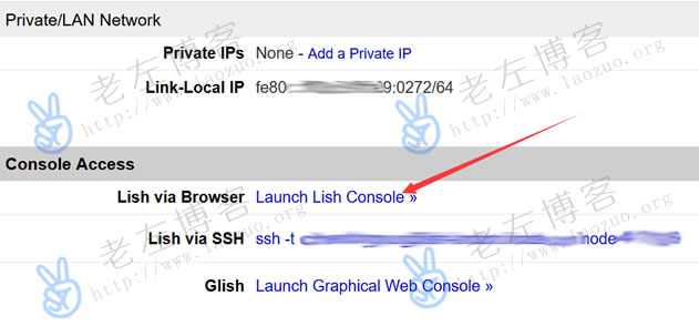 通过Launch Lish Console登录服务器
