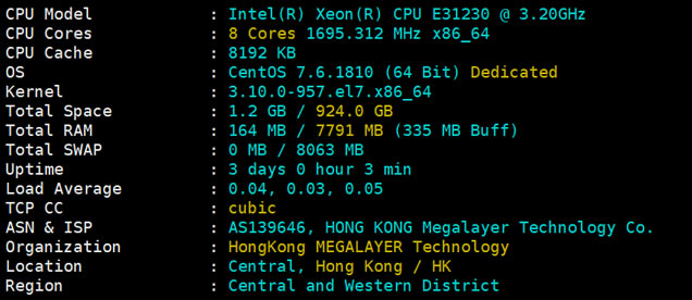  Megalayer Hong Kong server re evaluates the default 3IP address 8GB memory - sheet 4