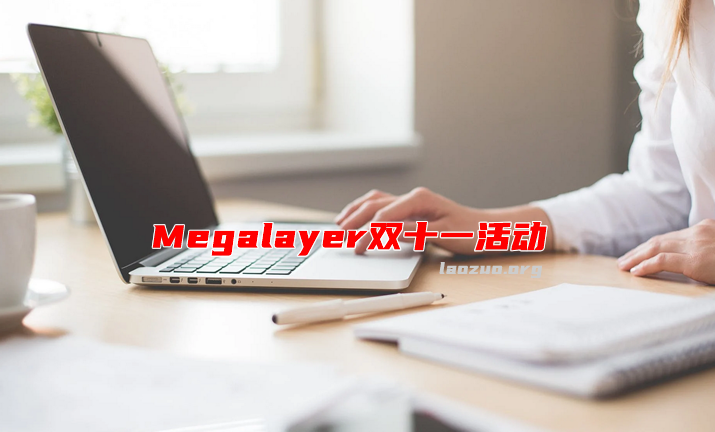 Megalayer 双11全场VPS主机五折 含年付美国和香港VPS及大带宽服务器