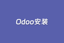 实战利用亚马逊云科技EC2服务器构建线上Odoo企业管理套件 | 老左笔记