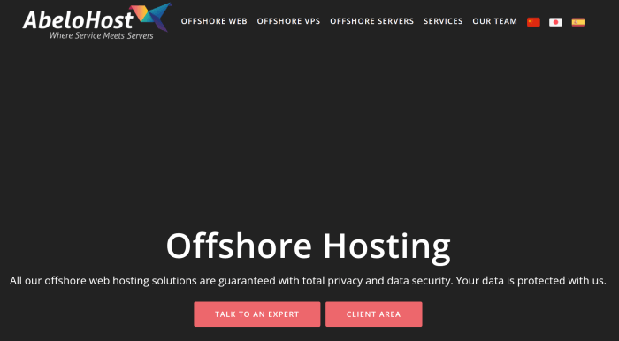 五款欧洲荷兰VPS推荐 适合欧洲电商出海业务 - 第1张