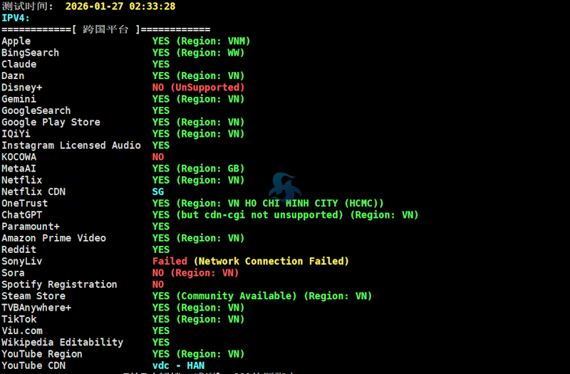 亲测丽萨主机越南家宅网络原生IP线路VPS性能 - 第2张