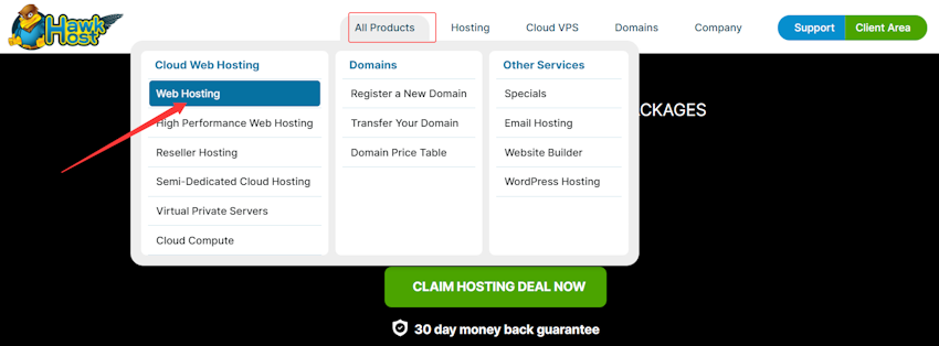 老鹰主机选择WEB HOSTING